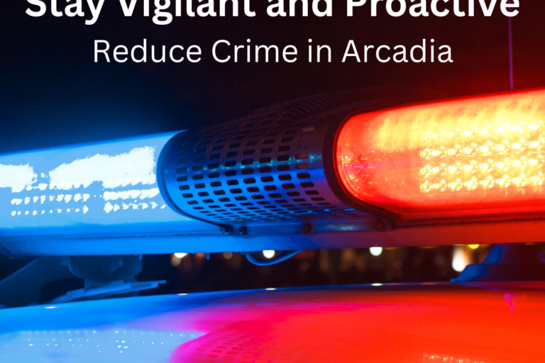 StayVigilant_PoliceLights